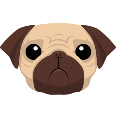 Pug